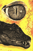 �������'s Avatar
