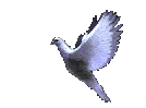 ������� ������'s Avatar