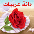 ���� �����'s Avatar
