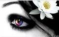 ������'s Avatar