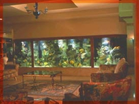 ���� �� ���� ������ ����� ���� ����� �� ������� ����������